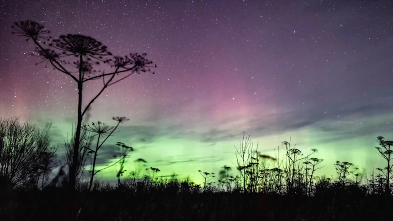 Настоящее ночное световое представление можно было увидеть на выходных в Псковском районе Настоящее ночное световое представление можно было увидеть на выходных в Псковском районе