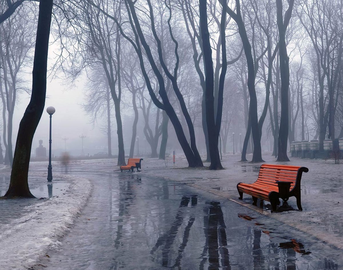 Облачная погода ожидается на территории Псковской области в понедельник, 15 декабря