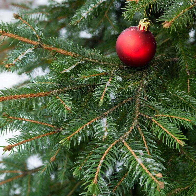 �������� ������ "����" ���������� �� ����������� �������, ������� ��������� � ������ ������� "���������� ������"