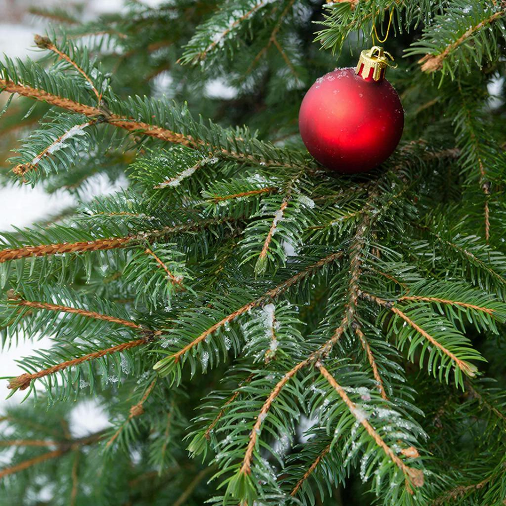 Курсанты центра "ВОИН" приглашают на праздничный концерт, который состоится в рамках проекта "Новогодний десант"