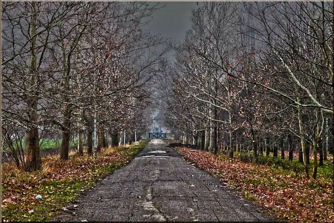 До +5 градусов прогнозируют в Псковской области 16 декабря