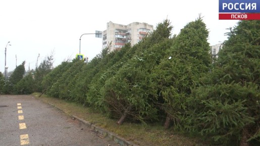 ������������ �������������� ������� ������ ������ ���� ������ � ������