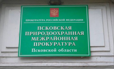 Прокуратура добилась ликвидации свалок в лесу