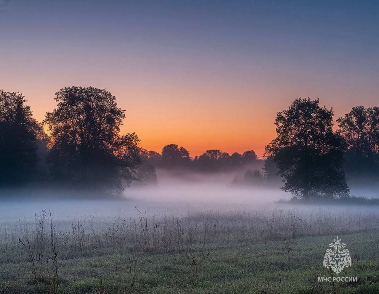 МЧС России предупреждает: на территории Псковской области ожидается туман