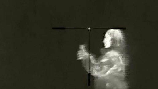 Великолучанка заключена под стражу за попытку диверсии