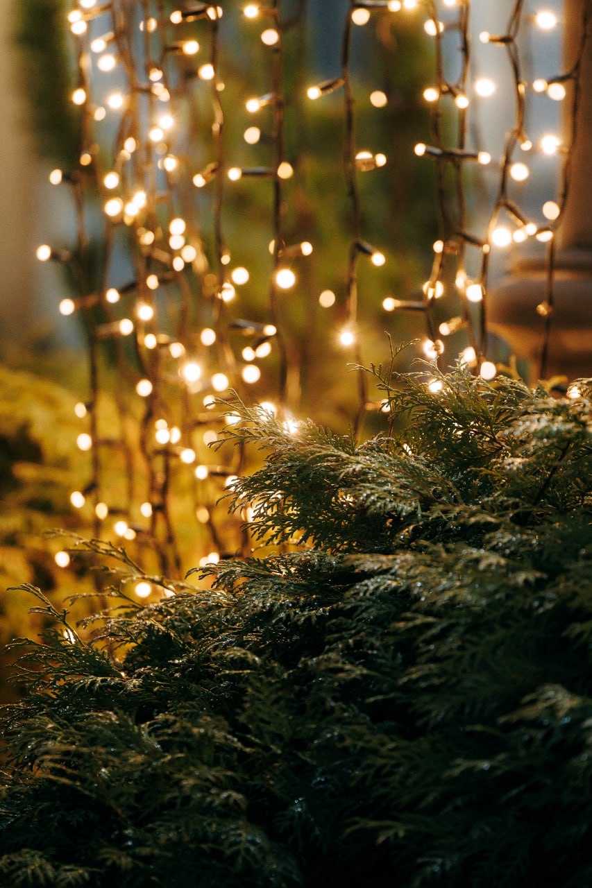 18 декабря в Псковской области ожидается переменная облачность, без существенных осадков 18 декабря в Псковской области ожидается переменная облачность, без существенных осадков