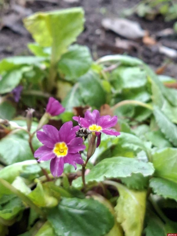 ���������� �������� � ������ � �������