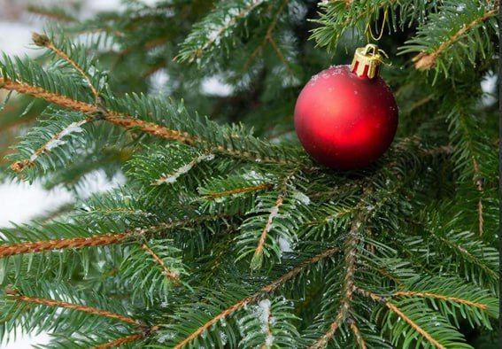 ��������� � ��������� ���������, ������������� ����������� ���� � ����������� � ����� ������� � ����������� ����� ����� � ����� �� ����������� ������� �������, 19 �������, �� ��������� �������� ��������� ����