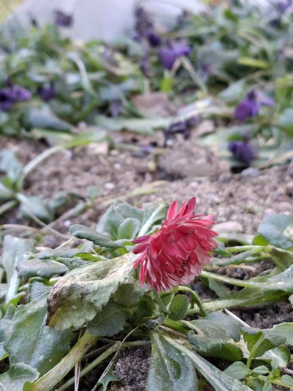 �������, 22 �������, � ��������� ������� ��������� ������������ ������