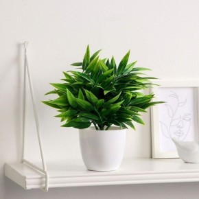 ��� ������� ���� �������� ��������� ����������: 7 ������� ���������