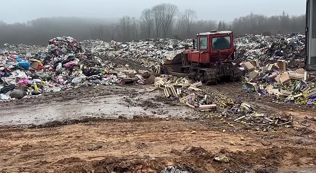 В Псковской области Россельхознадзором предотвращена незаконная перевозка более 20 тонн голландских груш