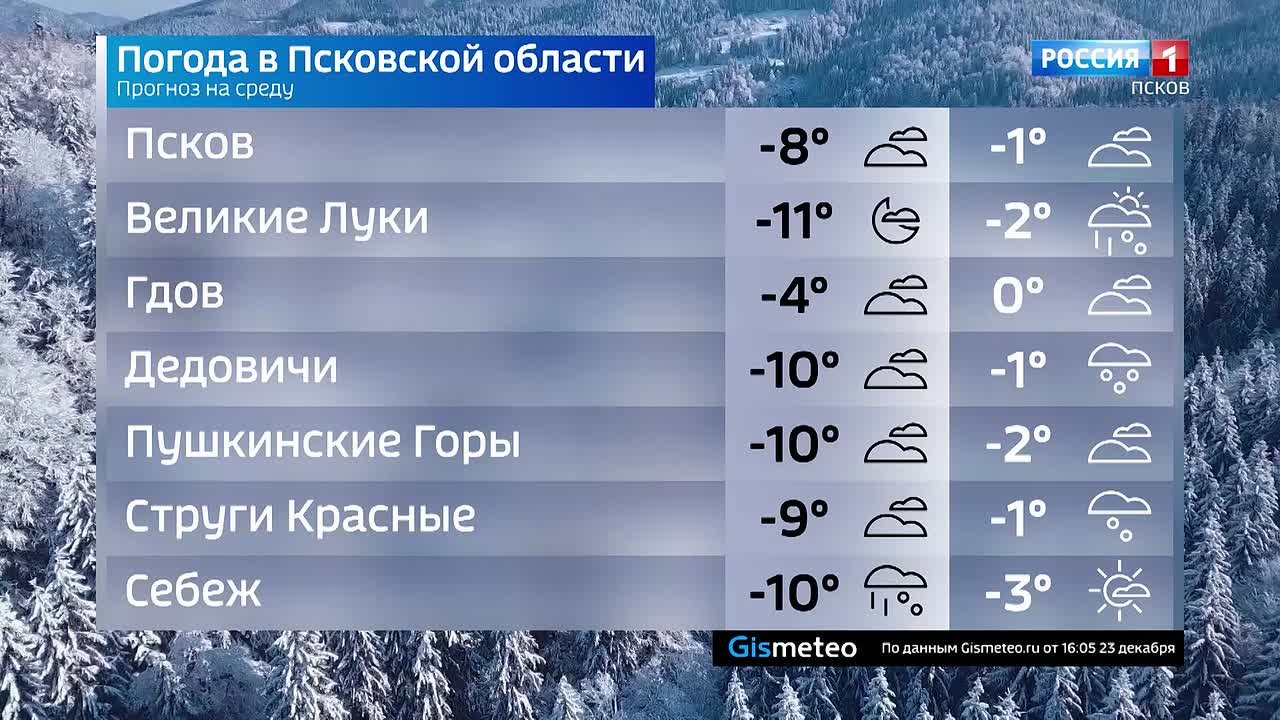 Прогноз погоды в Псковской области на 24 декабря