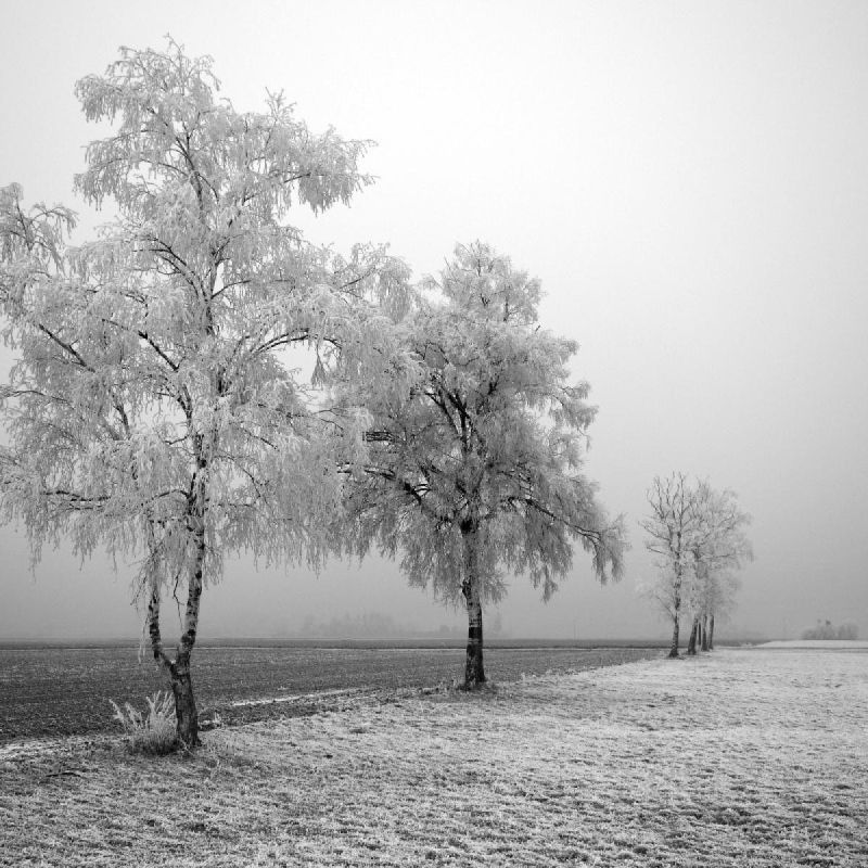 ������ ������� ��������: ��� ���������� �������� ���� � ������