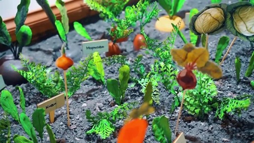 � ��������� �����-����������� �������� ������� �������� �����