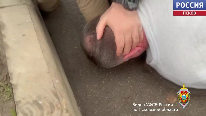 ��������� ���� � ��������� ������������� ������������ �����������, �������������� �������� ���������, ���������� �� ���������� ���� ������ �� ��������� �������