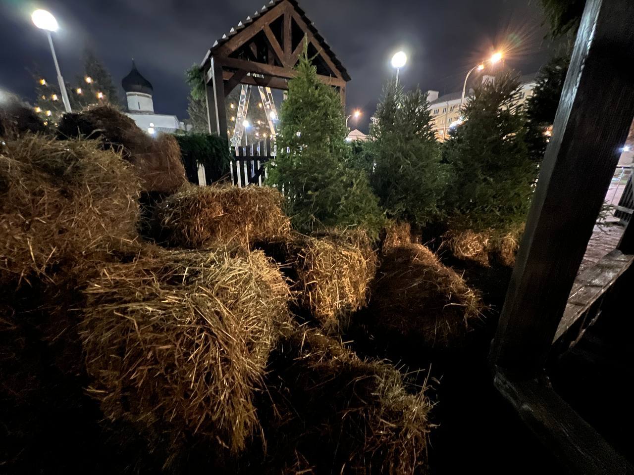 Елкин Борис: В Пскове продолжает зажигаться все больше праздничных огней!