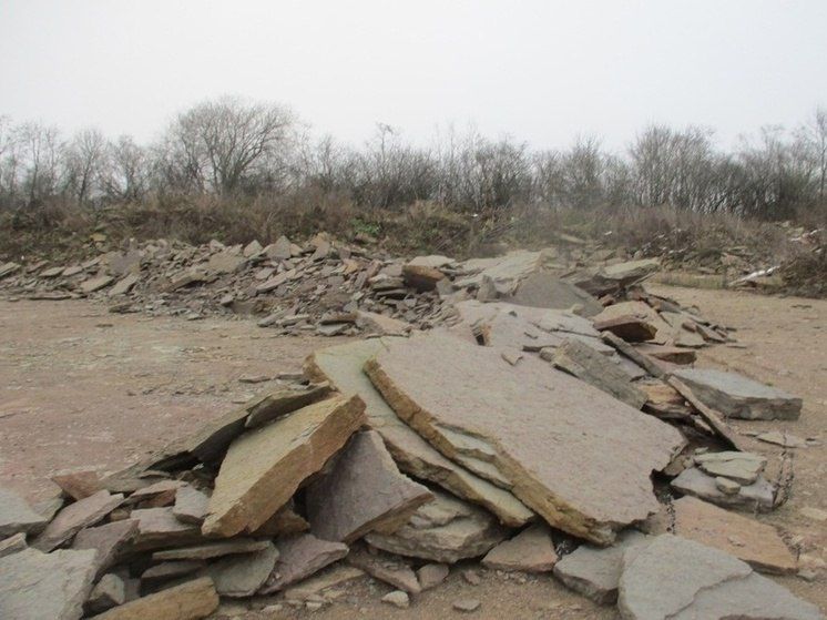 ��������� ������ ��������: 17,4 ��� ������ �������� ����� ��������� ������ ������� ����������