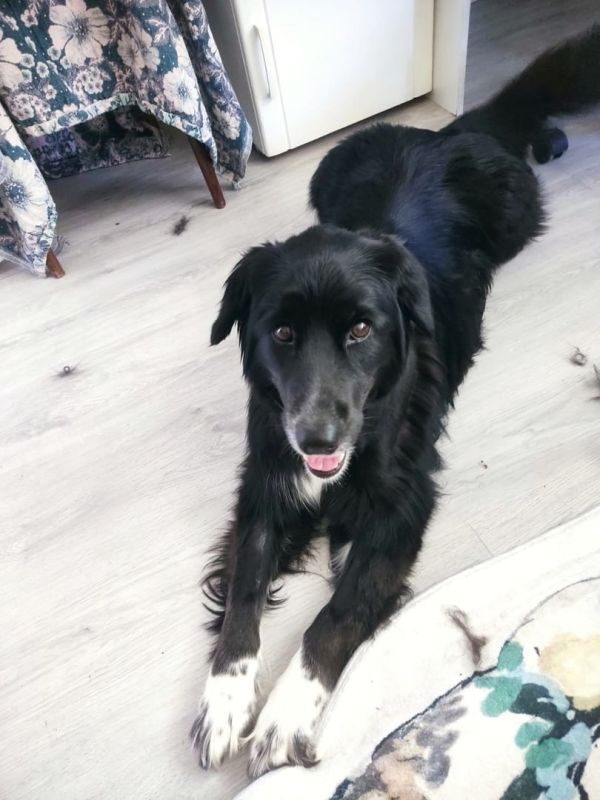 �������� ������ ��� ���������� ����� ����� � ������