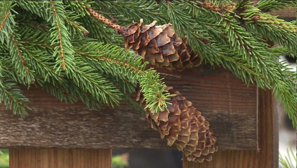 �� ���������� ������� ��� � ������ ���� ����� �������� ����� �� 300 ����� ������