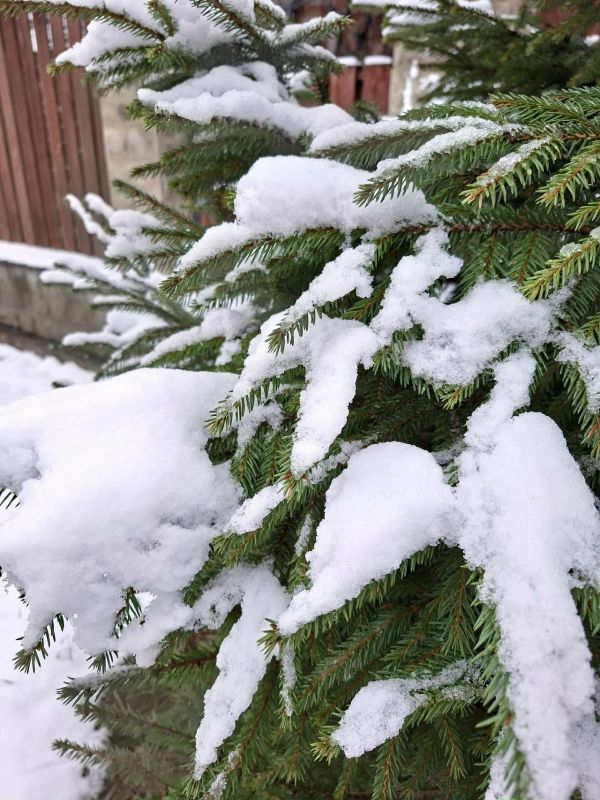 �� ��������� ������������� ��������������, 27 ������� �� ���������� ��������� ������� ��������� �������� � ������������ ������ � ���������� �������� � ���� ������� ����� � �����