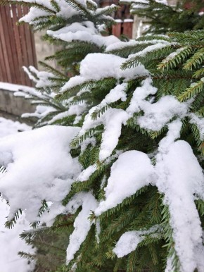 �� ��������� ������������� ��������������, 27 ������� �� ���������� ��������� ������� ��������� �������� � ������������ ������ � ���������� �������� � ���� ������� ����� � �����