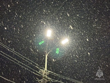 МЧС России предупреждает: на территории Псковской области ожидается налипание мокрого снега