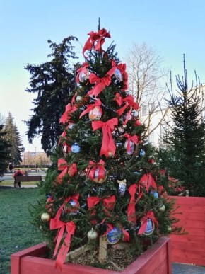 "Аллея муниципалитетов" засияет в Пскове - каждая елка расскажет об уникальности региона