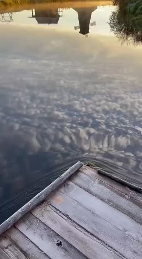 ������� ��������� ��������� ������� � ������� ������������ ��������� �����������