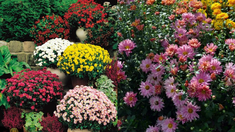 ����� ��������� ����� �� ������������: 3 ������� ���� � ������ ��������