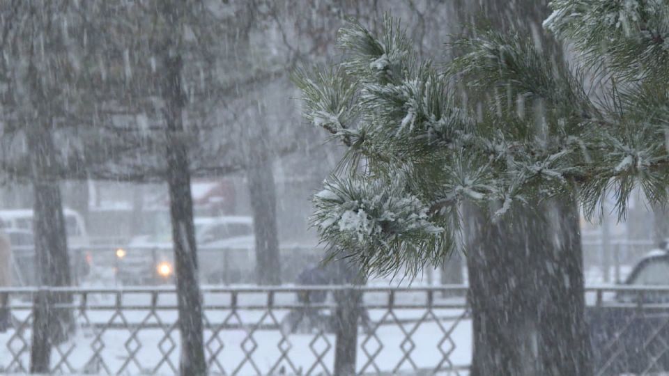 � ������ ��� ������ ���� � ��������� ������� ��������� �������, �� ��������� ����������, ����������� ����� ���������� �� -15...-18 ��������