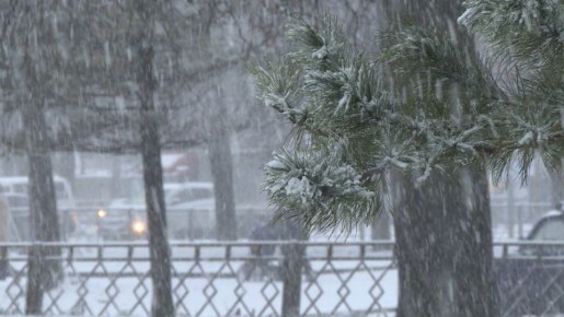 � ������ ��� ������ ���� � ��������� ������� ��������� �������, �� ��������� ����������, ����������� ����� ���������� �� -15...-18 ��������