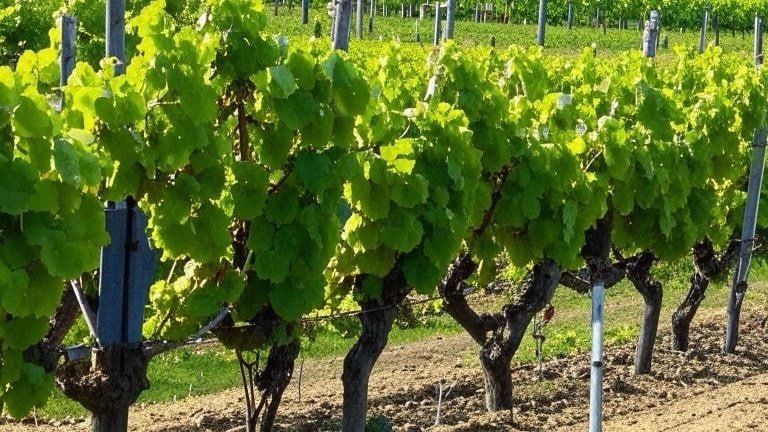 ������������ ���������� ��� ����������� �������