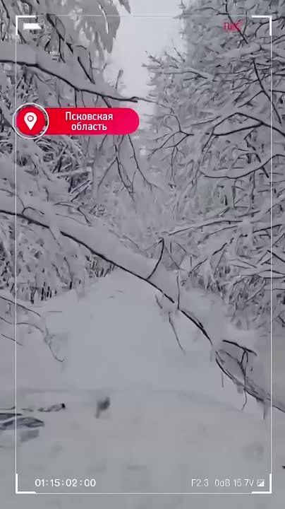 70 ������ ����������� ����������� ����������� ������� ���������� � ��������� �������