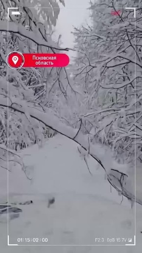 70 бригад энергетиков ликвидируют последствия сильных снегопадов в Псковской области