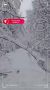 70 бригад энергетиков ликвидируют последствия сильных снегопадов в Псковской области