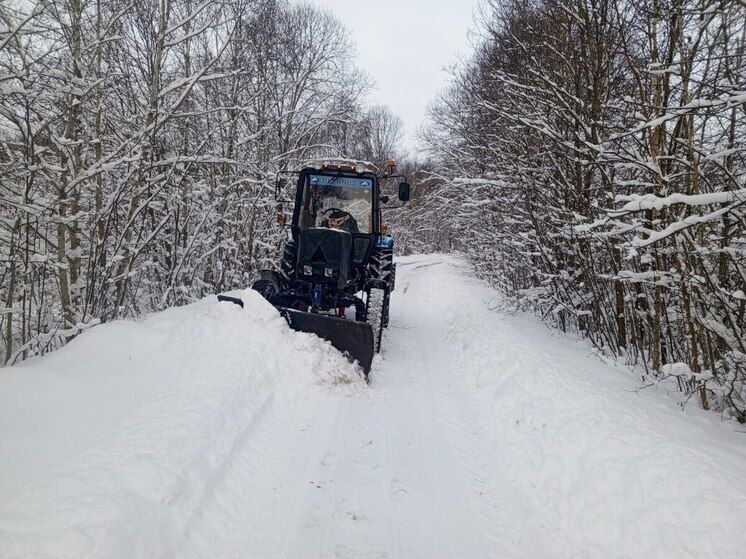 ������ ����� � �������� ������ ������������ � ���������� ������