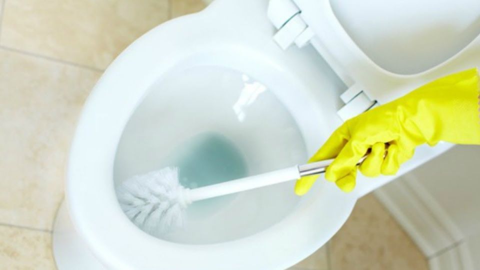 ����������� ������ �� �������� ����������: ������� �������� ��� ���������� �������