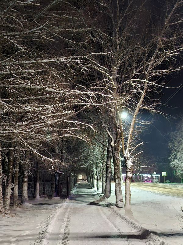 ��������� ������������ �������� ������ �� ���������� ��������� ������� � �������, 4 ������