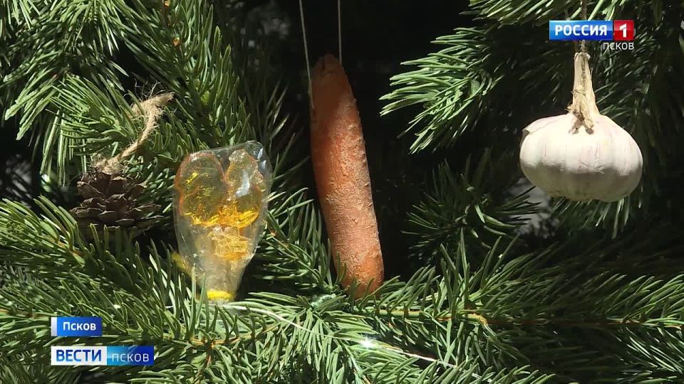 ��� ��������� ����� ���� ������� ������� ���� ��������