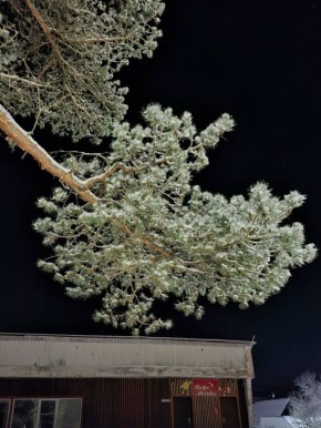 ������� � ������ ����������� ������� ���������� -7��