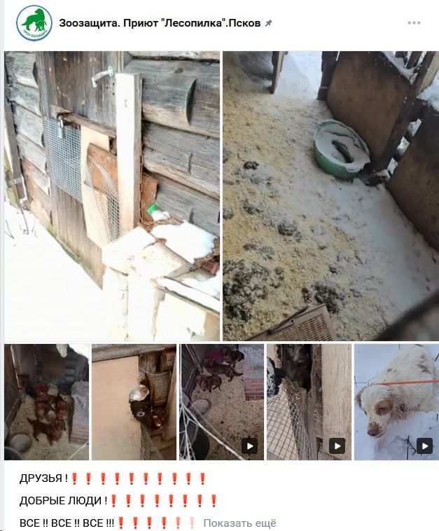 ���������� ��������� �������� �� ������ ����� � ������: ������������ ������� ��������� �����