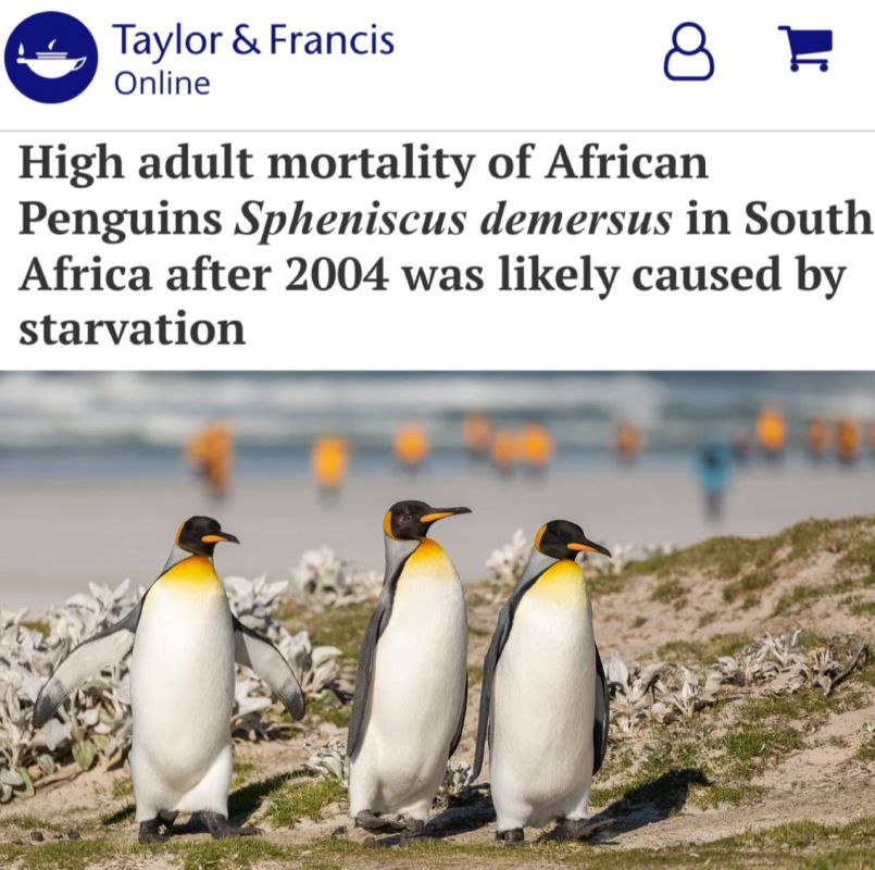 �������� ���������� �������� ������ ����������� ���������: ���� ����� ��� ����� ����, ��� ������ ���������