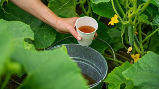 ��� ���� ������� ���� �������� ������� ���� ��� �������