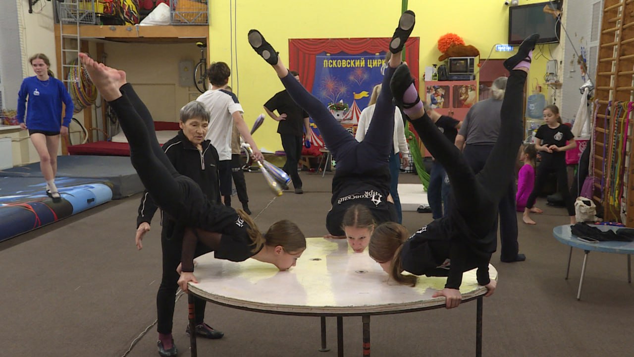 Псковский цирк завоевал два спецприза на международном фестивале в Туле Псковский цирк завоевал два спецприза на международном фестивале в Туле