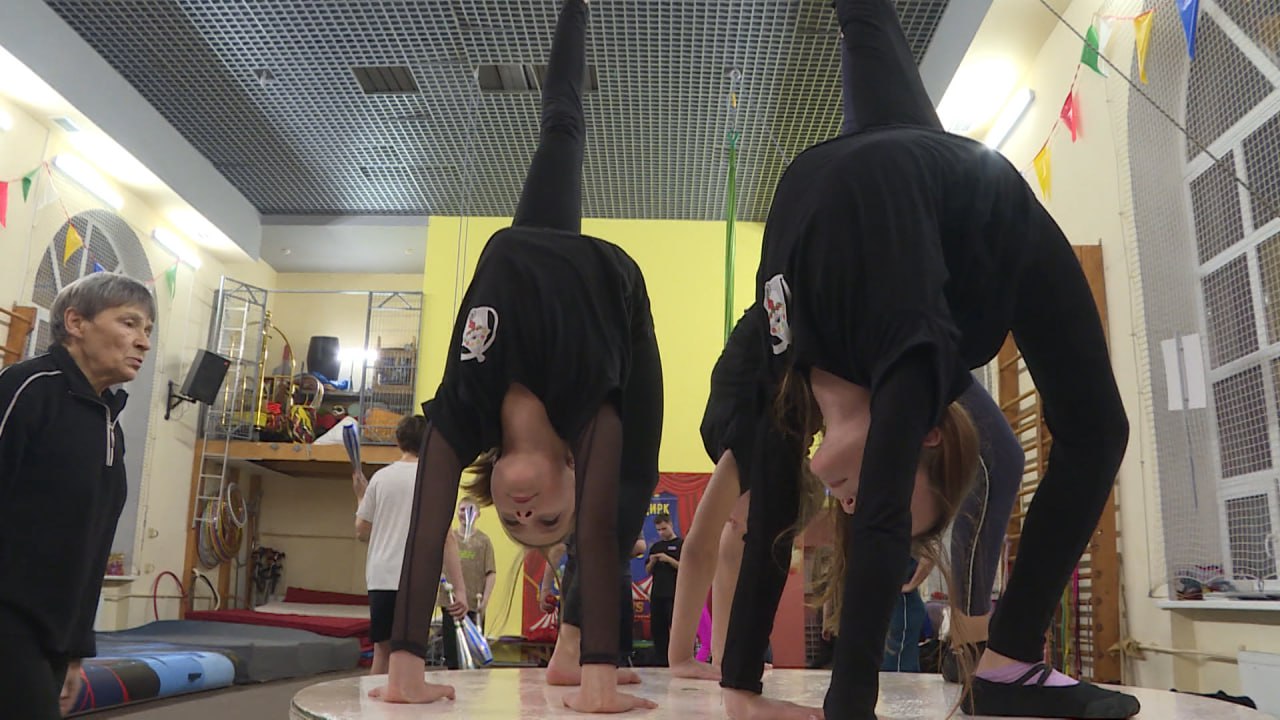 Псковский цирк завоевал два спецприза на международном фестивале в Туле Псковский цирк завоевал два спецприза на международном фестивале в Туле