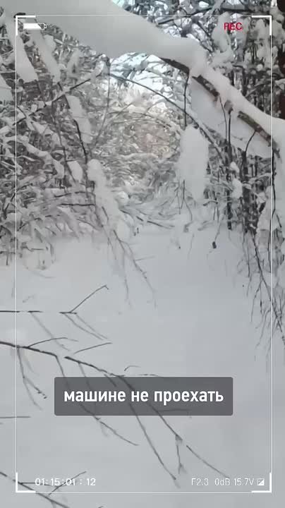 Кадры работы героических энергетиков Россетей, устраняющих последствия вечерне-ночного снегопада в Псковской и Новгородской областях