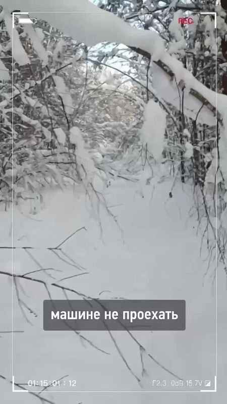 "����� ��� ������, ����������� � ��� ��� �������