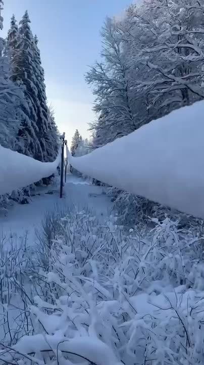 ���������� ���������� ������� "�������� ������ �����������"