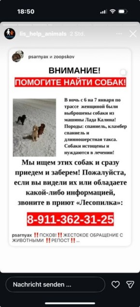 Псковичи в соцсетях активно обсуждают очередную, к сожалению, историю вопиюще жестокого обращения с животными