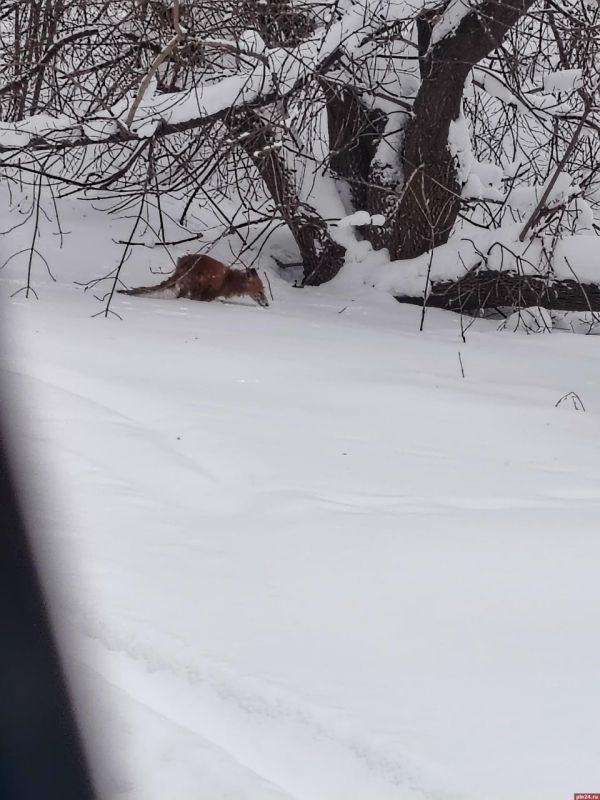 � ������� ����� �������� ������� ���� � ������������ ������ �� ����������